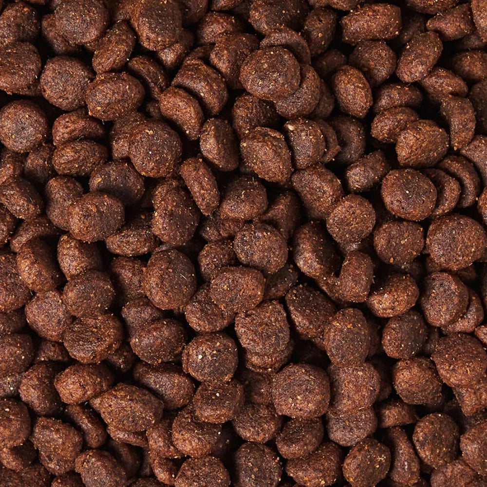 Grain-Free Adult Dog Food