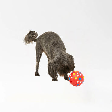 Spotted Reward Puzzle Toy