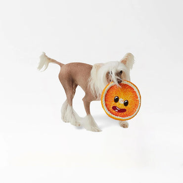 Ruff & Tuff Dog Toy