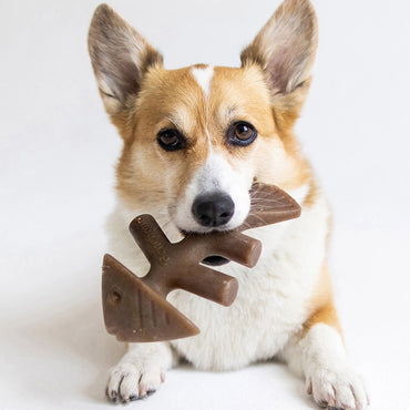 Fishbone Dog Chew Toy