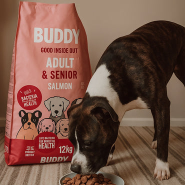 Gut Friendly Salmon Kibble