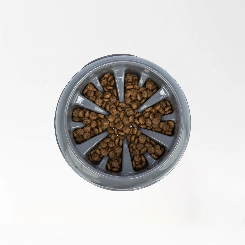 Healthy Slow Feeding Bowl