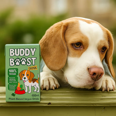 Buddy Vegan Wellness Drink