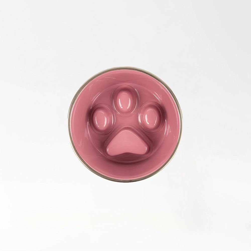 Stainless Pet Feeding Bowl