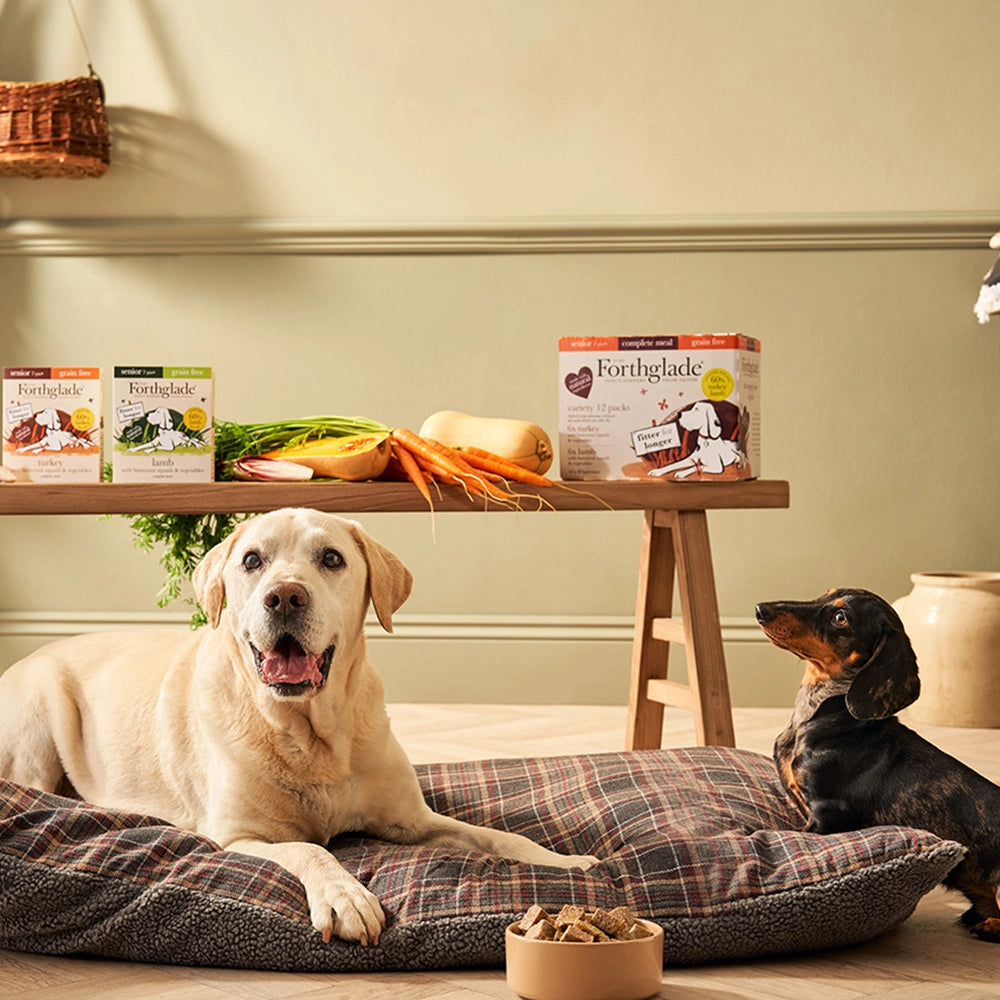 Buddy Senior Health Pack