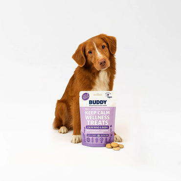Chewy Calming Dog Snacks