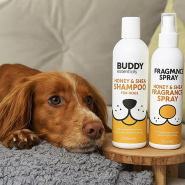 Buddy Gentle Fur Wash