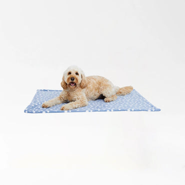 Soft Plush Pet Blanket