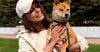 The Ultimate Guide to Choosing Pet Food