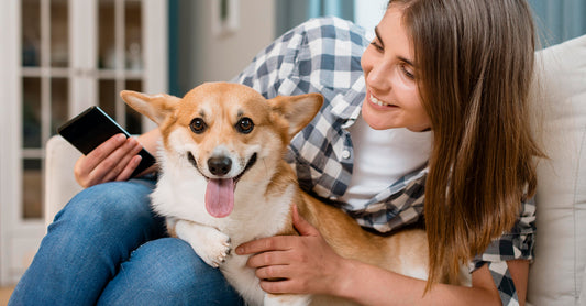 The Top 10 Ways to Upgrade Your Pet's Diet