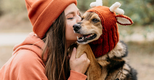 The Science Behind Dog Pet Food Nutrition