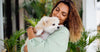 The Healthiest Pet Foods to Keep Your Companion Happy