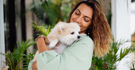 The Healthiest Pet Foods to Keep Your Companion Happy