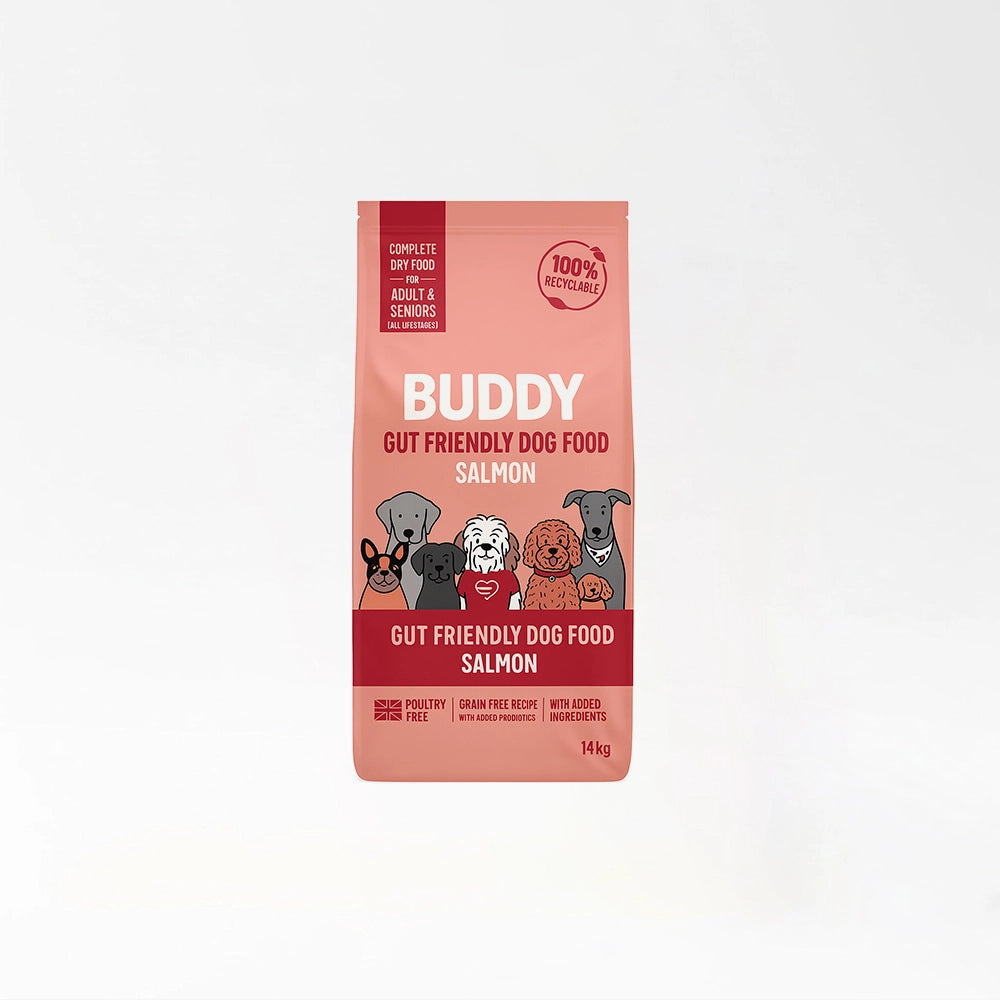Gut Friendly Salmon Kibble