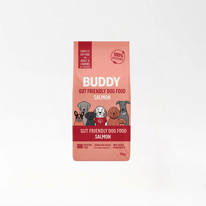 Gut Friendly Salmon Kibble