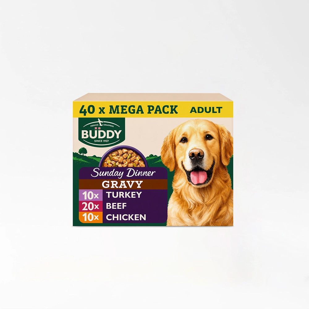 Adult Wet Dog Variety Pack