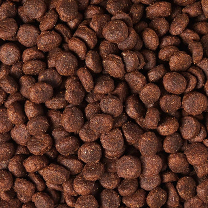 Grain-Free Adult Dog Food