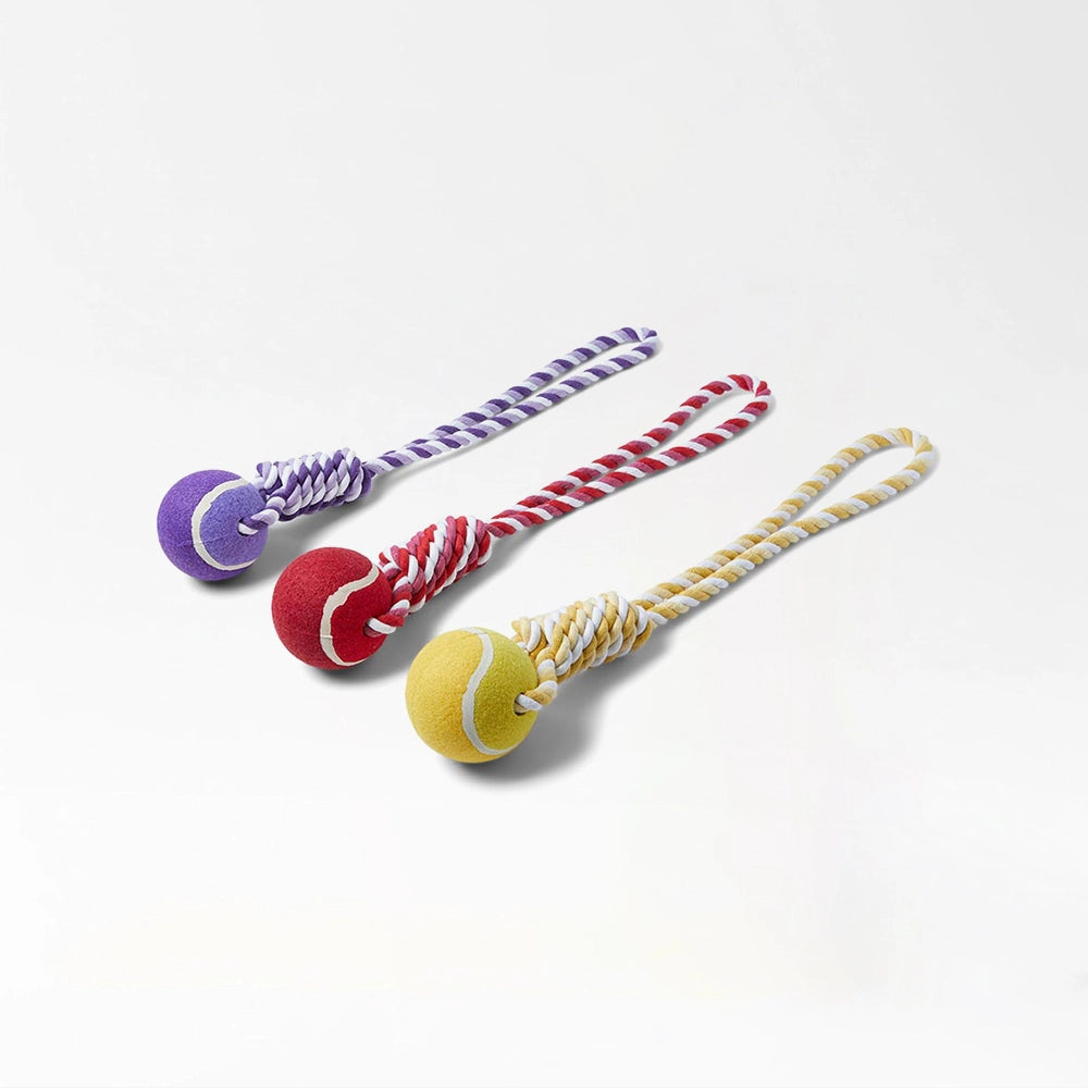 Colorful Rope Ball Chew