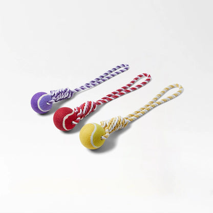 Colorful Rope Ball Chew