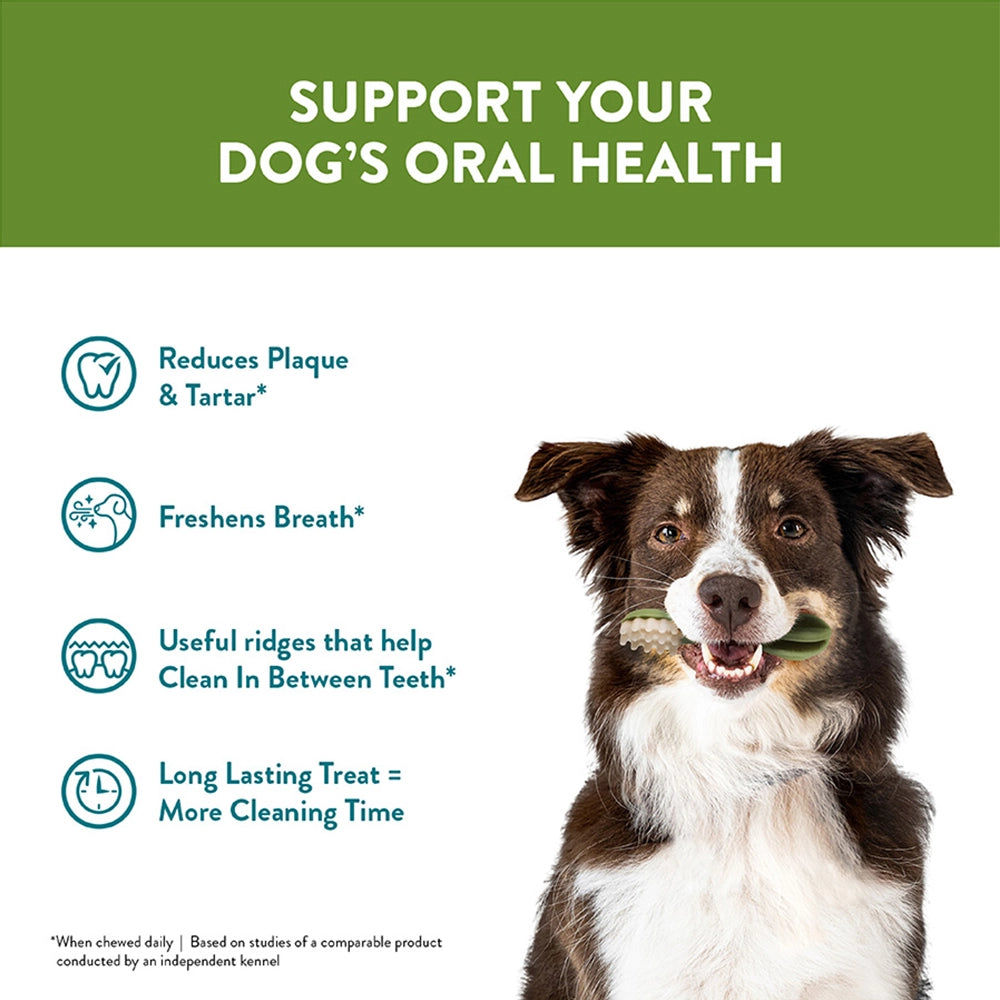 Natural Dog Dental Chews