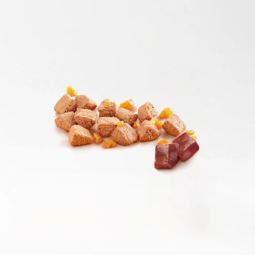 Buddy Mixed Flavor Dogfood