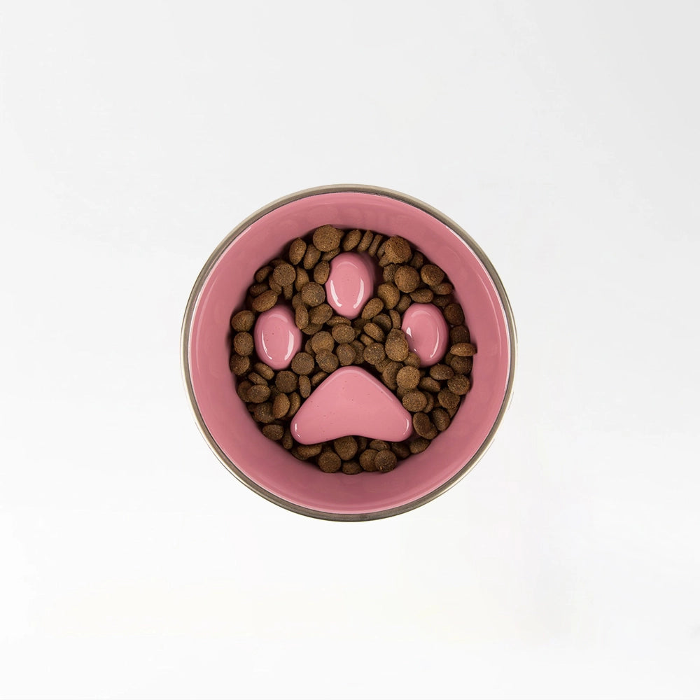 Stainless Pet Feeding Bowl
