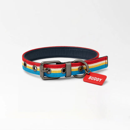 Buddy Rainbow Stripe Collar