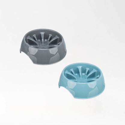 Healthy Slow Feeding Bowl