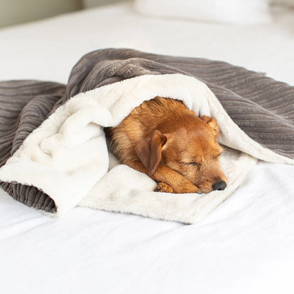 Comfy Pet Nap Blanket