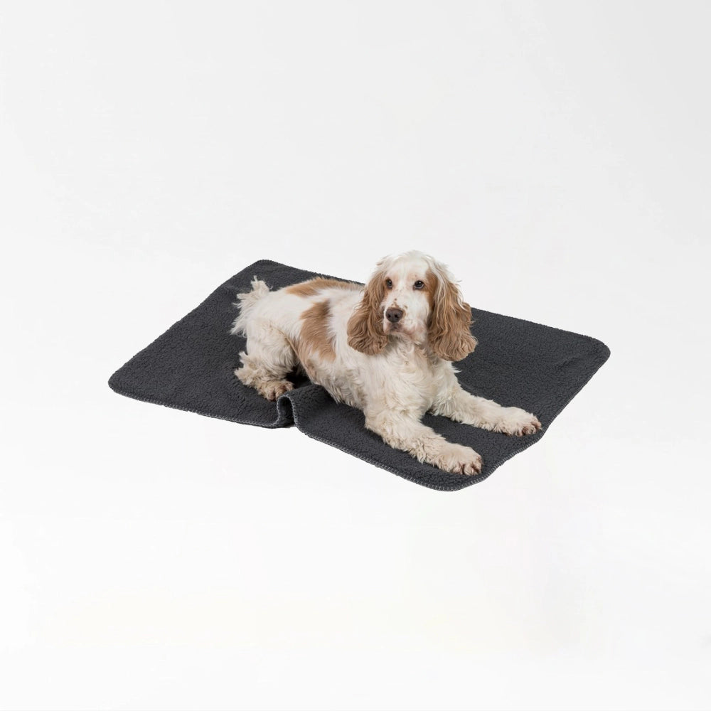 Cozy Pet Sleeping Blanket