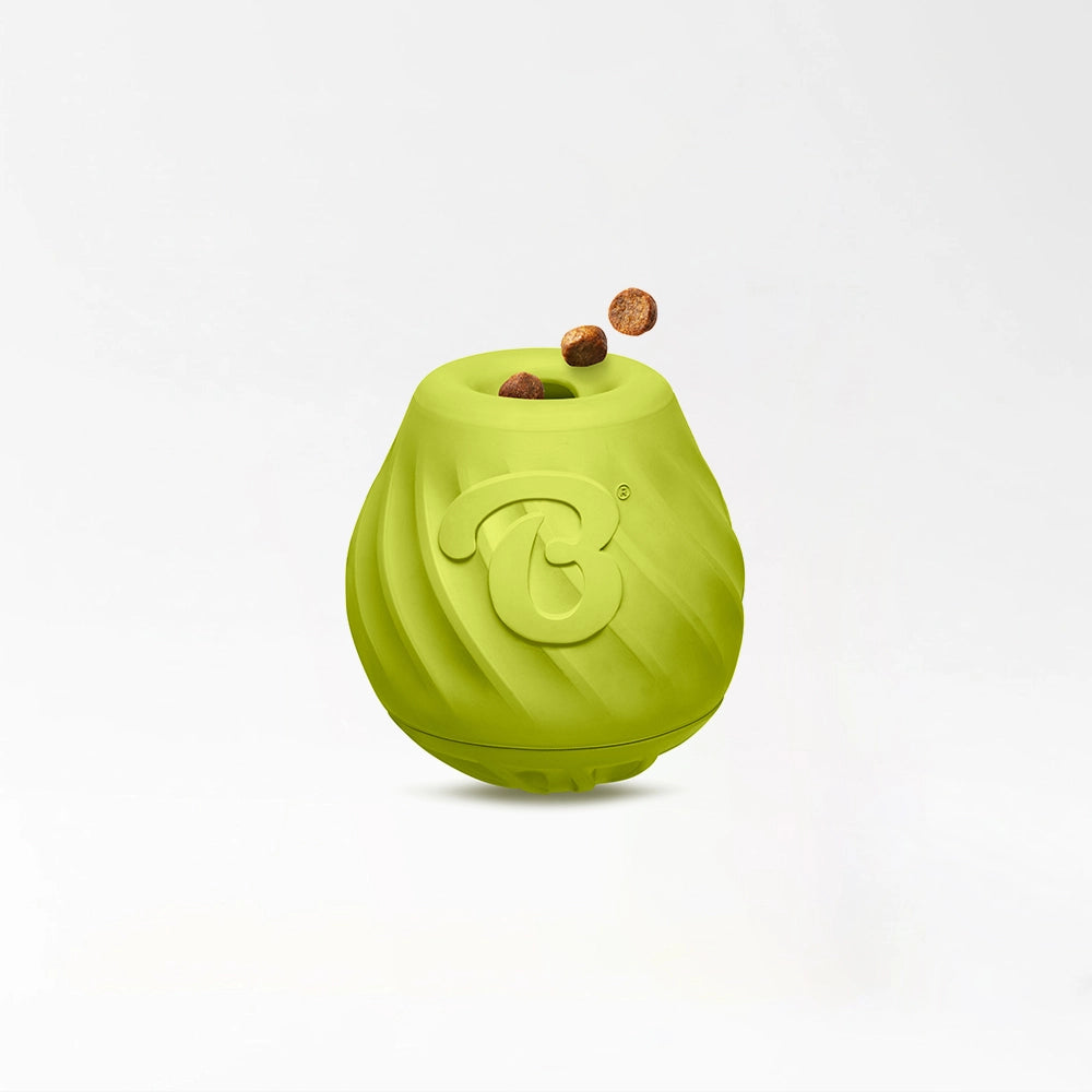 Fun Bounce Dog Toy