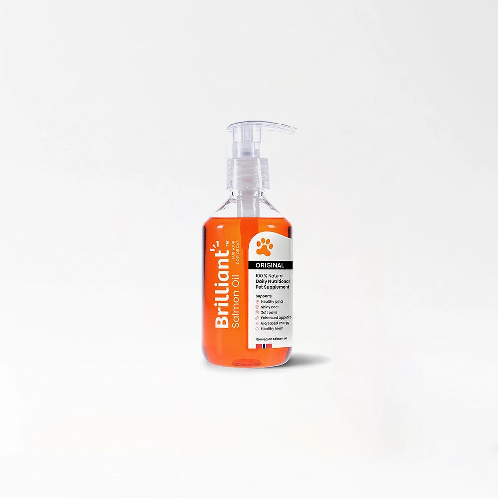 Oil Supplement For Dogs