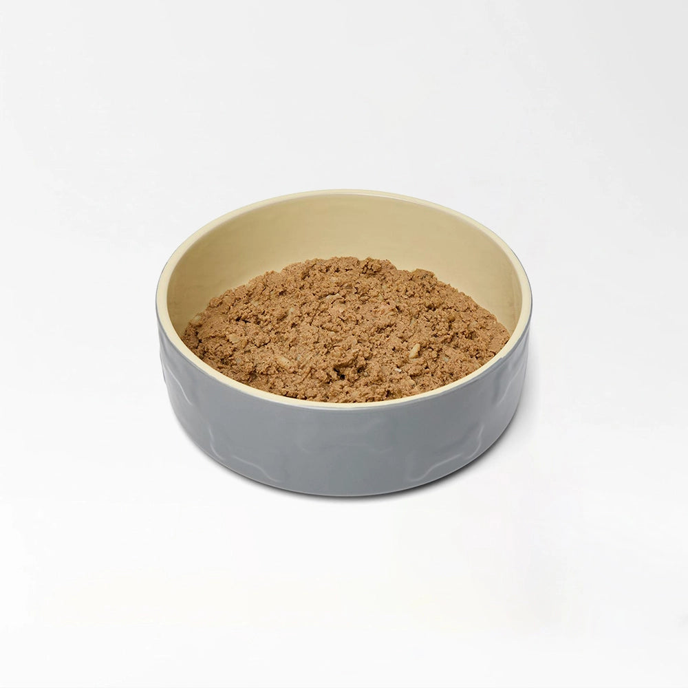 Nutritious Senior Dog Food