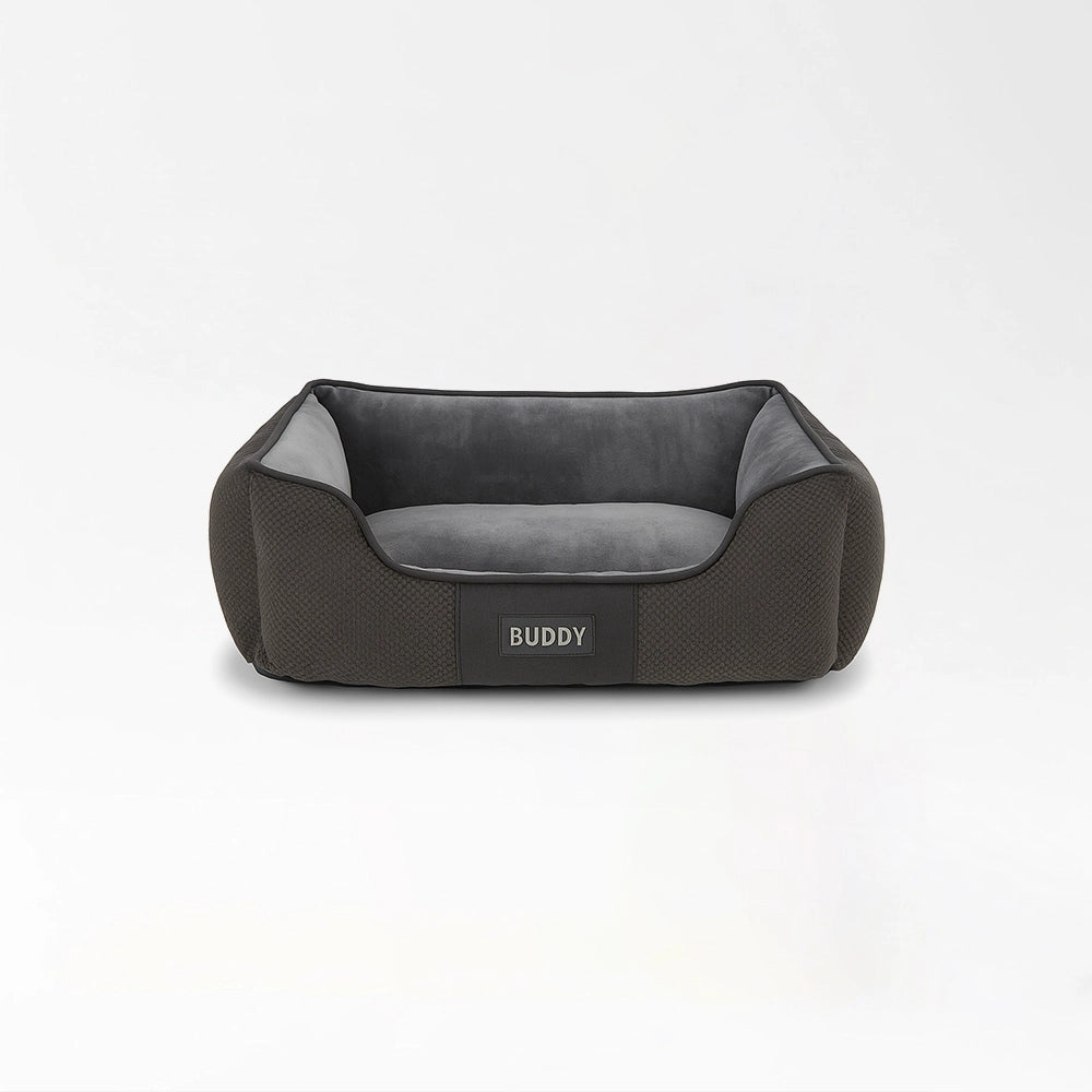 Buddy Comfort Lounge Bed