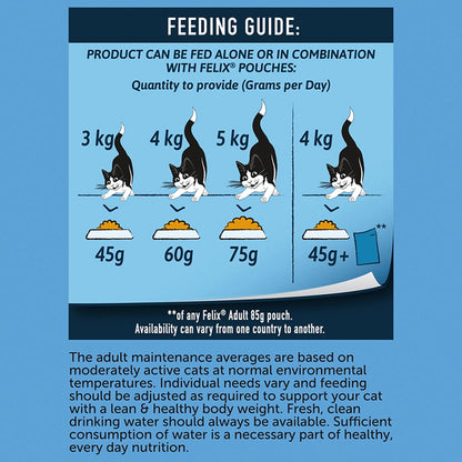 Protein-Rich Cat Food Mix
