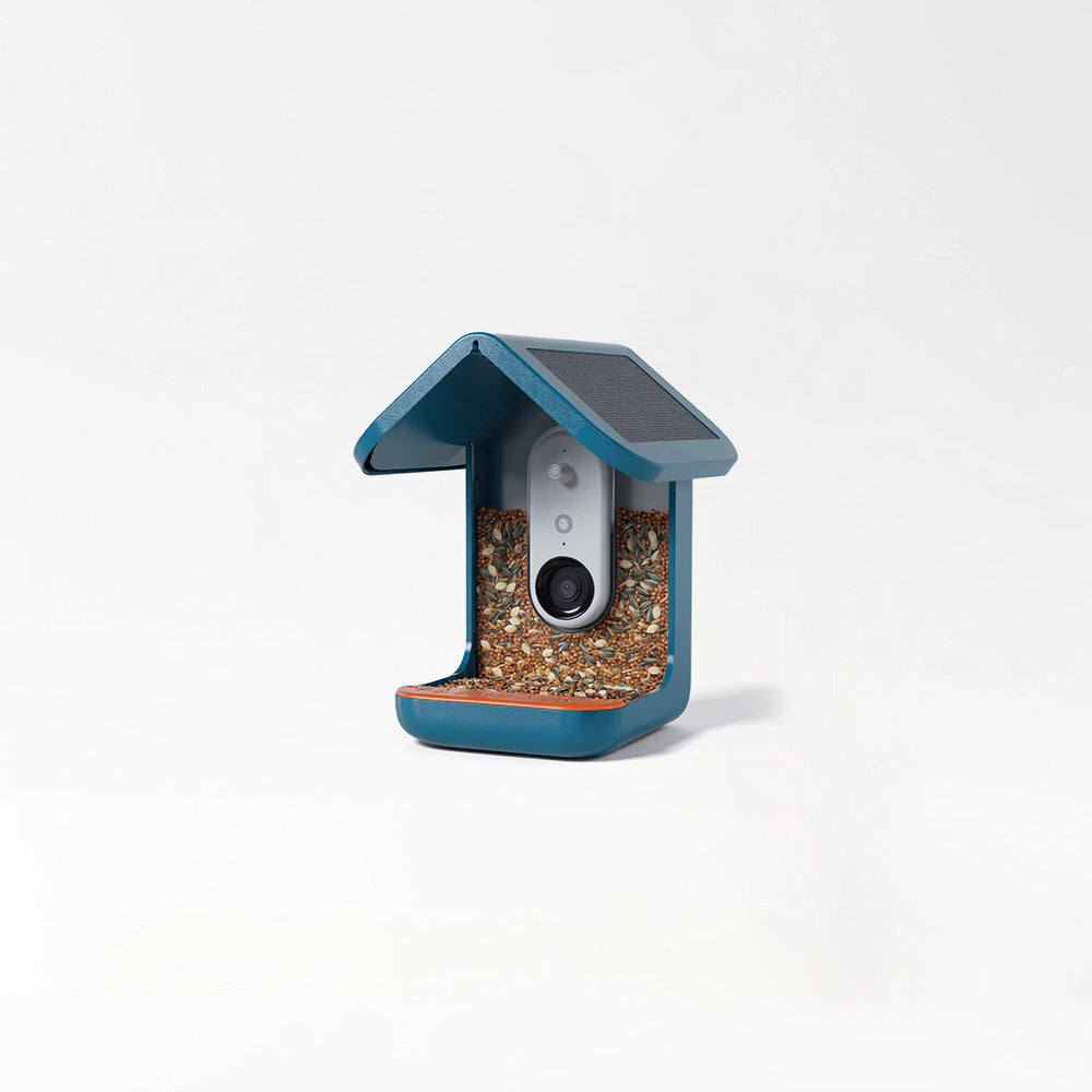 Smart Solar Bird Feeder Camera