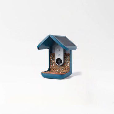 Smart Solar Bird Feeder Camera