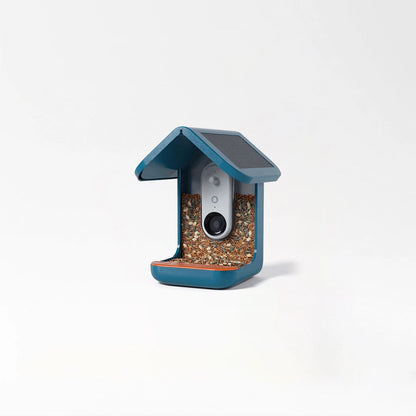 Smart Solar Bird Feeder Camera