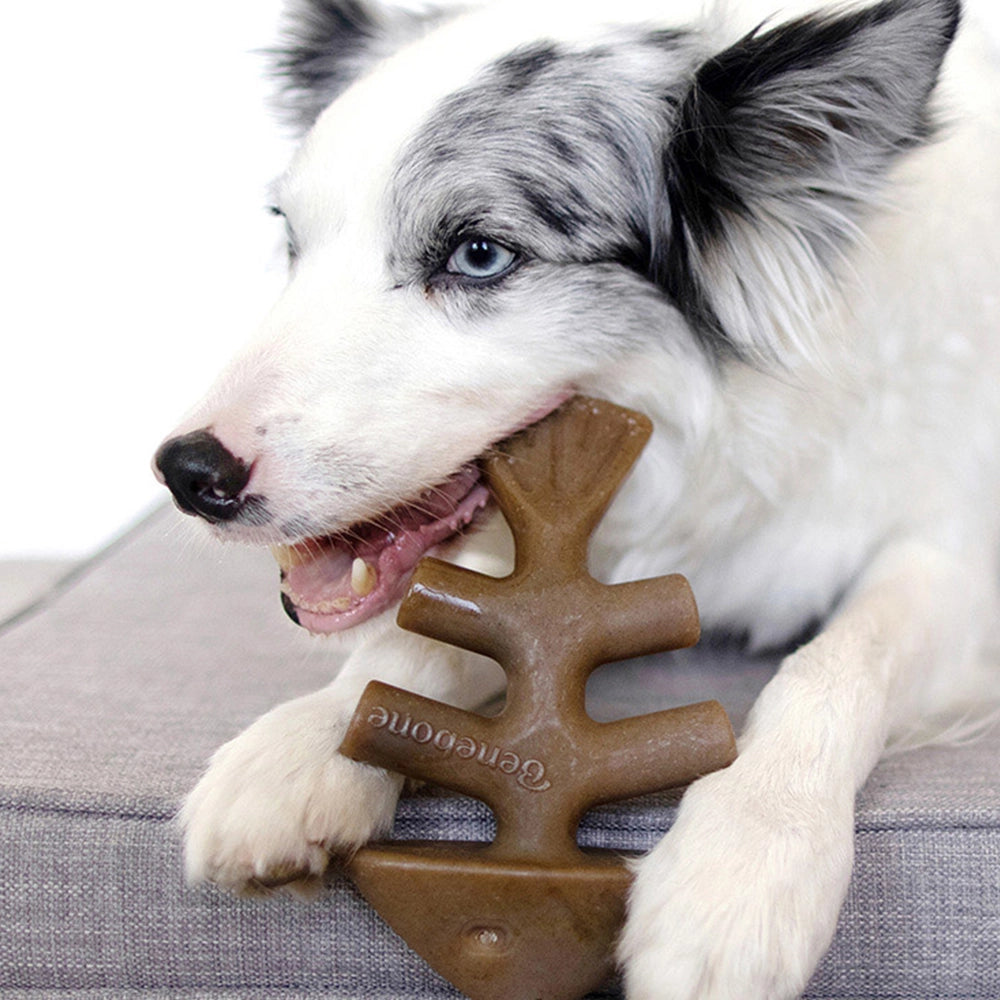 Fishbone Dog Chew Toy