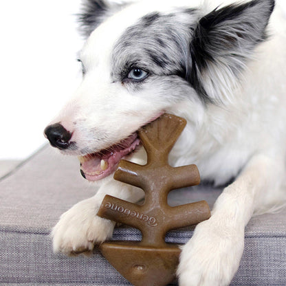 Fishbone Dog Chew Toy
