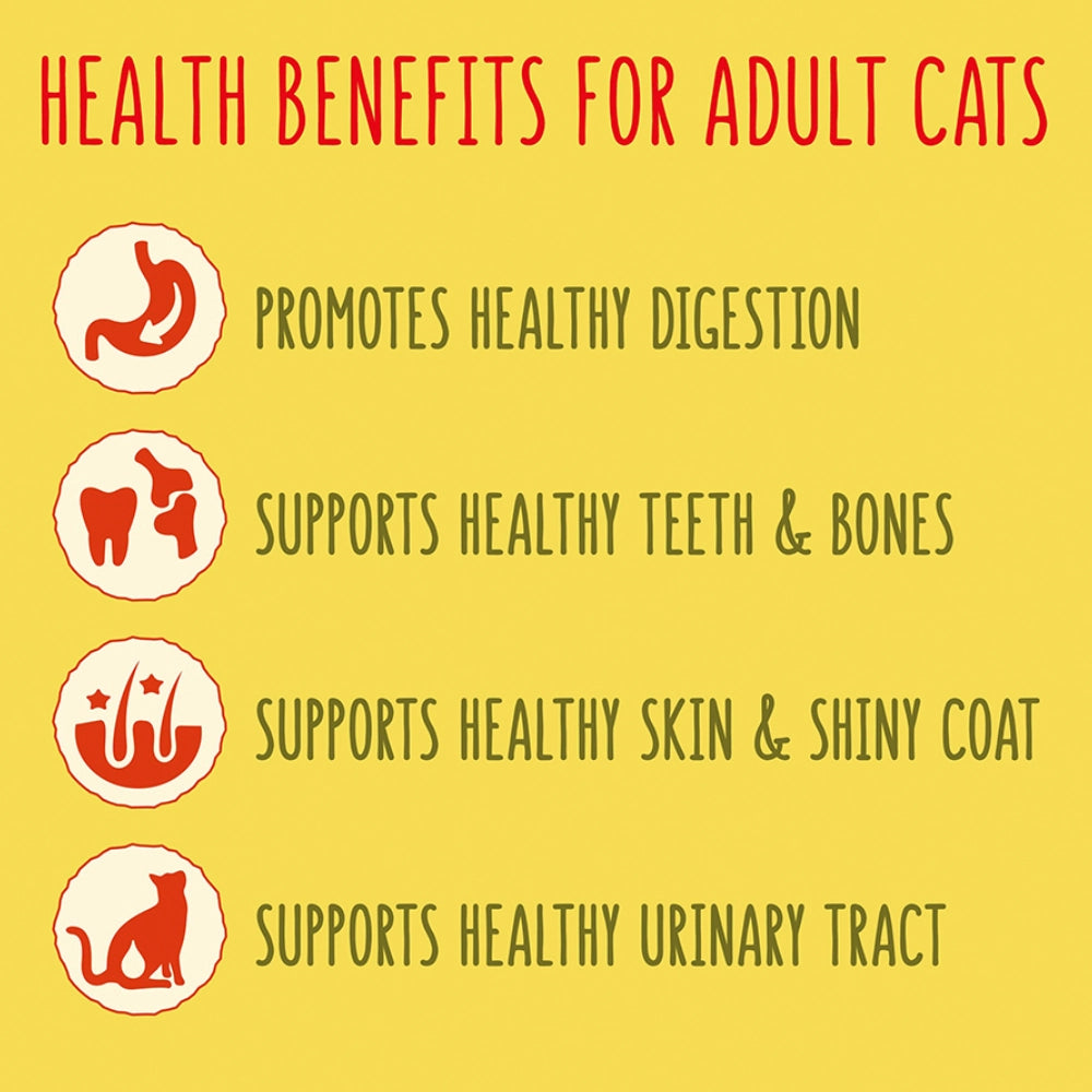 Healthy Indoor Cat Food
