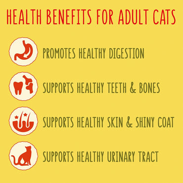 Healthy Indoor Cat Food