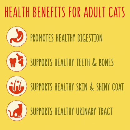Healthy Indoor Cat Food