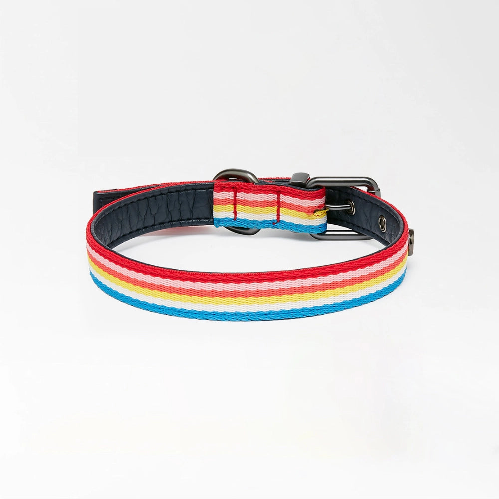 Buddy Rainbow Stripe Collar