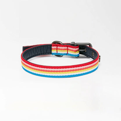 Buddy Rainbow Stripe Collar