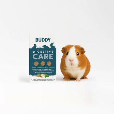 Buddy Digestive Care