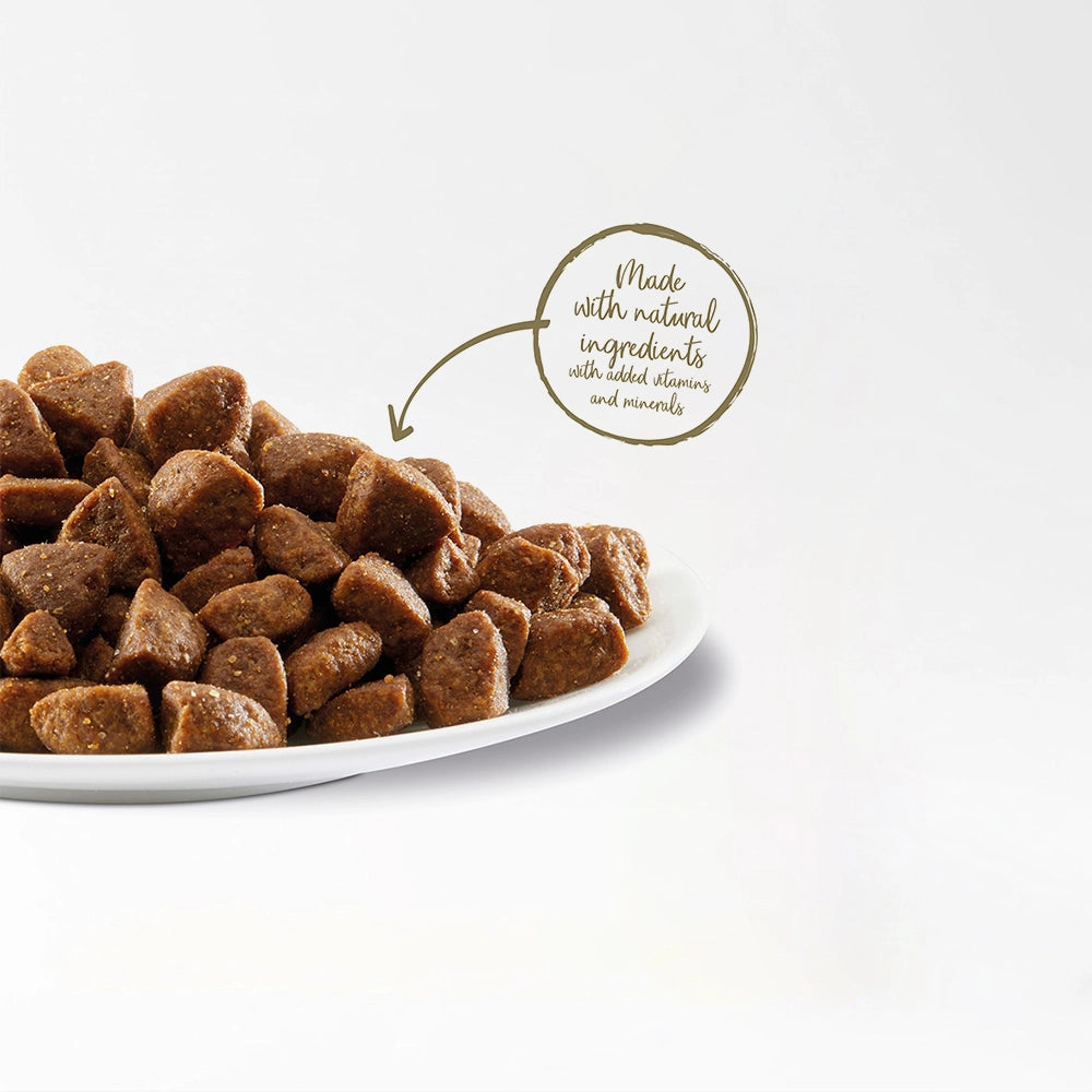 Grain-Free Chicken Dog Food
