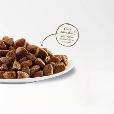 Grain-Free Chicken Dog Food