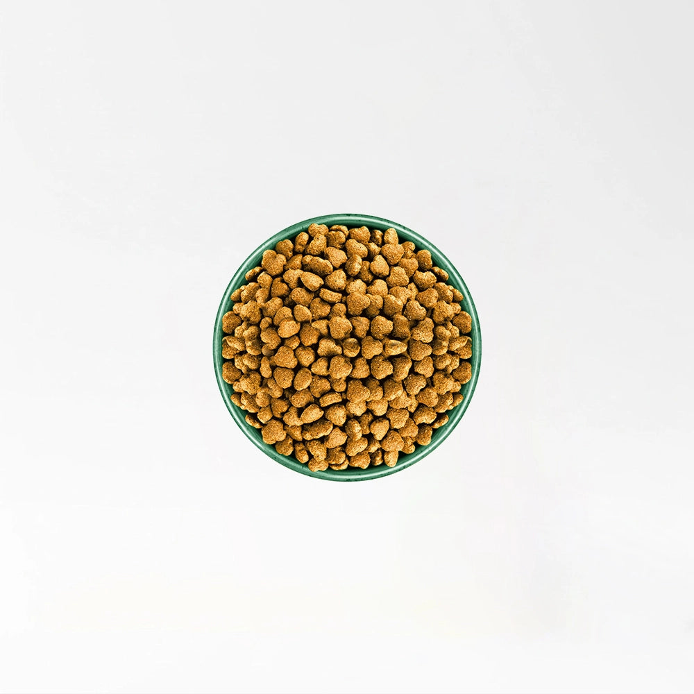 Turkey Rice Senior Formula