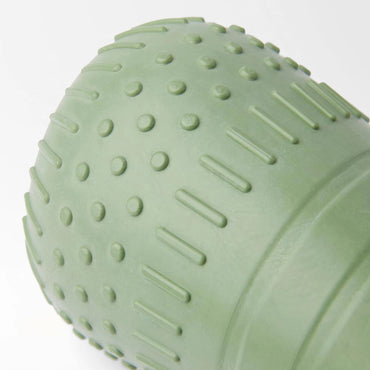Durable Chew Treat Dispenser